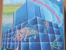 Delired Cameleon Family French vinyl