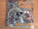 Savoy Brown  -  Looking In   Decca LP