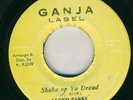 LLOYD PARKS-SHAKE UP YIU DREAD-RARE-ROOTS REGGAE 45 7