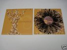 American Analog Set 