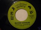IRATION STEPPAS -JUNGLE JUNGLE-KILLER UK DUB LISTEN 