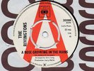 THE RIVINGTONS-A ROSE GROWING IN THE RUINS-C.B.S. DEMO
