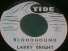 LARRY BRIGHT BLOODHOUND/WAY DOWN HOME 45 TIDE