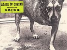 ALICE IN CHAINS 1995 US Columbia label 12-trk 2-LP MINT
