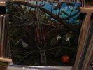 DRAGONFLY s/t heavy psych fuzz RARE LP POKORA