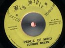 JUNIOR BYLES Peace Of Mind BIG STYLE 7