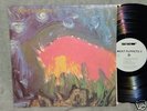 MEAT PUPPETS 2 1983 LP SST ORIGINAL NEAR MINT