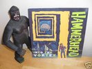 HAMMERHEAD 'Into the Vortex' lp amrep melvins killdozer
