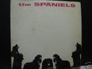 Spaniels lp on Vee Jay 1024