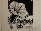 audiophile DON RANDI new baby LP SHEFFIELD TEST PRESS