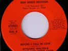 RARE FUNK 45 Dynamic Walter B