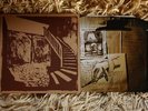 M Ward Duet For Guitars silkscreened #015 4AD she & him