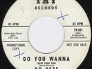 Blue Eyed Mod Soul 45-Bo-Pete-Do You Wanna-Hear 