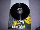 SKINHEAD RARE LP OI