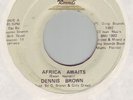 DENNIS BROWN - AFRICA AWAITS ITS CREATORS 7