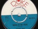 Augustus Pablo - Reggae In The Fields - AWESOME ???