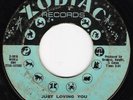 Northern Soul 45 RUBY ANDREWS Just Loving You on Zodiac