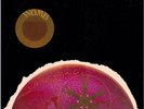 WOMB dot LP  PSYCH/HEAVY/FOLK orig 1969 genre bender