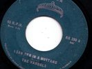 garage monster 45  THE VANDALS - I Saw Her In A Mustang