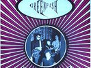 LP GREENFISH Rise to the bait DIG RECORDS OOP garage