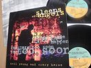 NEIL YOUNG - SLEEPS WITH STRANGERS (double)  LP