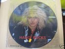 HANOI ROCKS Limited Edition Interview Picture Disc LP