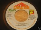 7 INCH PROMISED LAND - GADFREY LEWIS,LISTEN