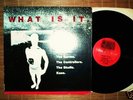 WHAT IS IT LP *v/a Dils Germs Controllers punk 1982 OOP