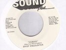 Brief Encounter on Sound Plus Rare 70's Soul 45 NM Hear