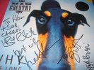 BIG COUNTRY-WHY THE LONG-RARE NO'D LP FULLY SIGNED 