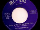 Joey Delorenzo - Wake Up To The Sunshine Girl - MI-VAL