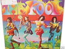 THE FOOL LP 1968 acid psych fuzz BEATLES Thomas Pynchon