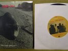 Pearl Jam 2nd Fan Club single-Who Killed Bambi? 1992