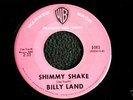 BILLY LAND 