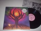 NOW Everything Is Different Obscure 80's Prog Psych M-