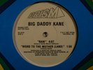 BIG DADDY KANE Raw PRISM PROMO 12