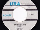 Homer-Dandilion Wine-Rare TX. Garage Psych 45-LISTEN