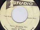 ANDY & JOEY - YOU'RE WONDERING NOW - STUDIO ONE  LISTEN