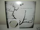 The Airborne Toxic Event S/T LP Vinyl silversun pickups