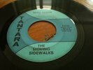 MOVING SIDEWALKS 99th floor US GARAGE zz top TANTARA 45