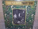 THE LEAVES / Hey Joe ORIG '66  on MIRA Records MONO 