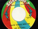NORTHERN + DEEP--SURE SHOT--LEE MITCHELL---HEAR BOTH