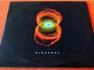 PEARL JAM Binaural GATEFOLD VINYL LP  Eddie Vedder