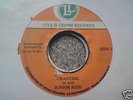 CHANTING - JUNIOR REID - LIVE & LEARN ROOTS 7 DIFF MIX
