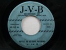 THE GALES SCARCE DETROIT DOO WOP R&B 45 J-V-B JVB HEAR