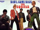 original 60's garage LP/The Equals/BABY COME BACK/clean