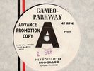 CHUBBY CHECKER-HEY YOU LITTLE BOOGALOO-C. PARKWAY DEMO