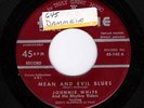 50's Country Johnnie White & Skeets McDonald on Fortune