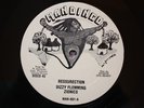 DIZZY FLEMMING RESSURECTION MANDINGO 12