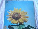 Children of one abstruct spontaneous music ORG Rare